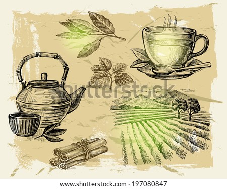 vector hand drawn tea on paint background