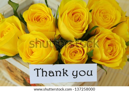 Sorry Card Yellow Roses Stock Photo 146541839 - Shutterstock