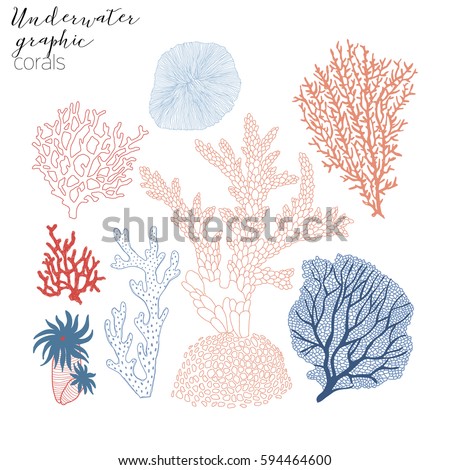 corals graphic collection