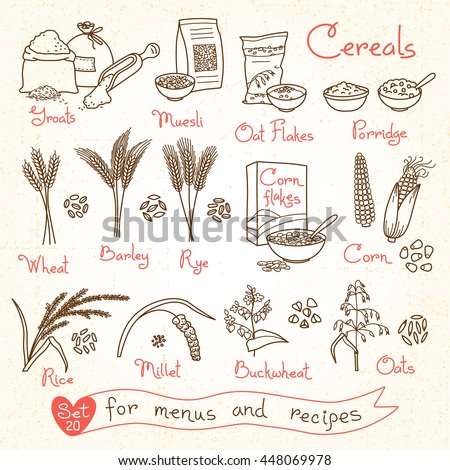 Set drawings of cereals for design menus, recipes and packing. Flakes, groats, porridge, muesli, cornflakes, oat, rye, wheat, barley, millet, buckwheat, rice, corn. Vector illustration.
