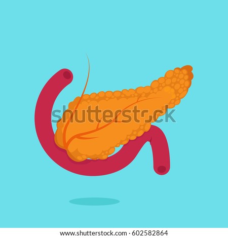 Pancreas Icon Cartoon Style Isolated On Stock Vector 489790477