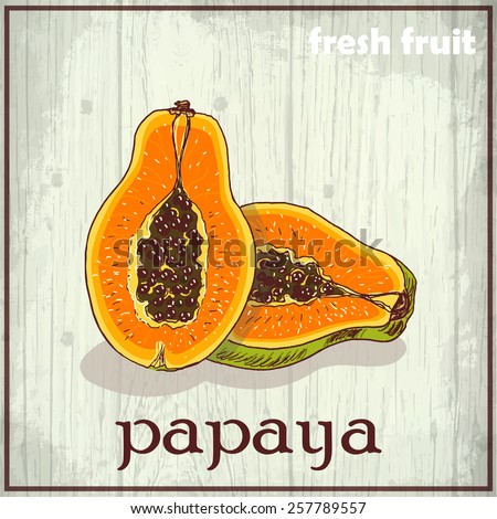 Hand drawing illustration of papaya. Fresh fruit sketch background. Vector illustration for your design