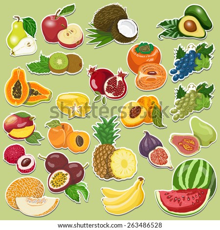 Fruits collection on tags. Vector illustration for your design
