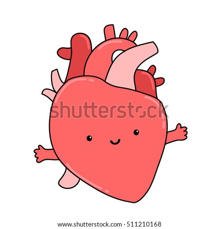 Anatomical Stock Vectors, Images & Vector Art | Shutterstock