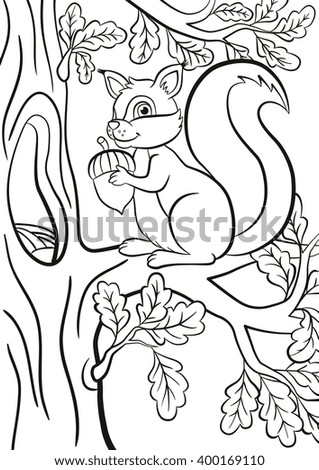 Little Cute Squirrel Sits On The Branch Of A Tree