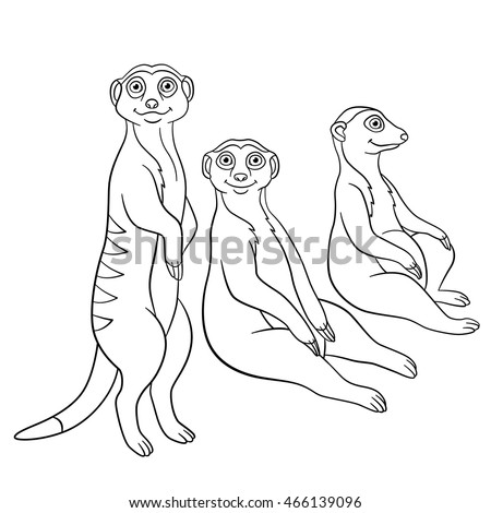Coloring Pages Three Meerkats Stand Sit And Smile Coloring Pages Three Meerkats Stand Sit And Smile