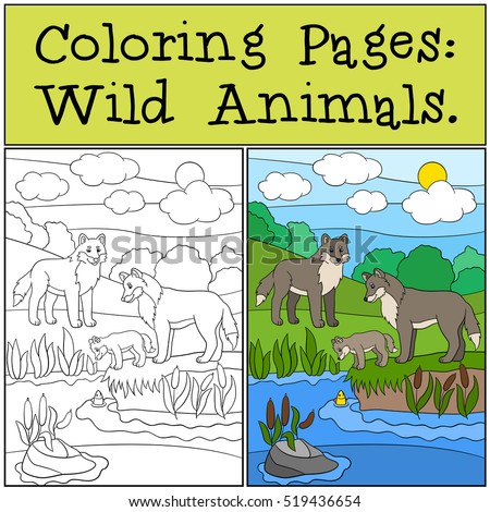 Coloring Pages: Wild Animals. Mother and father wolf look at their little cute baby.