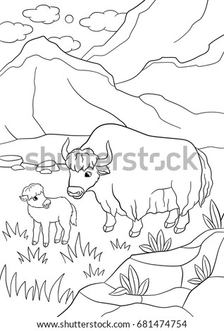 Baby Yak Stock Images, Royalty-Free Images & Vectors | Shutterstock