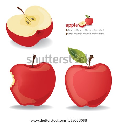 Red Apple vector illustration