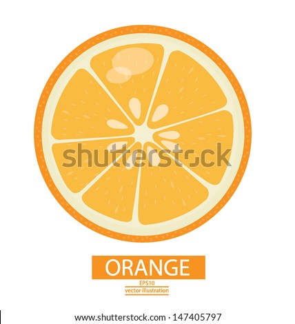 Orange fruits vector illustration