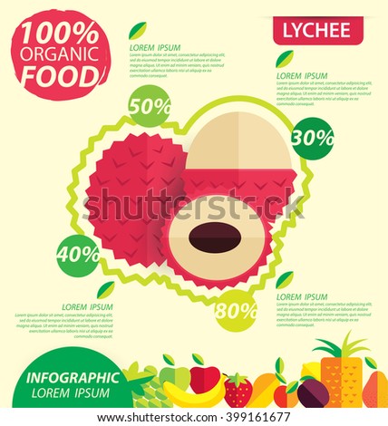 Lychee. Infographic template. vector illustration.