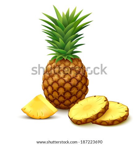 Whole pineapple with round slices isolated on white background. Vector illustration.