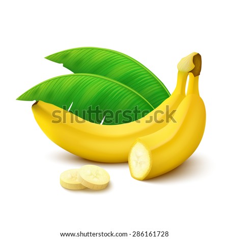 Whole banana, half banana, slices and leaves isolated on white background. Vector illustration.