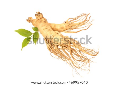 ginseng isolated on white background
