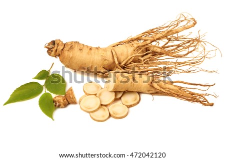 ginseng isolated on white background