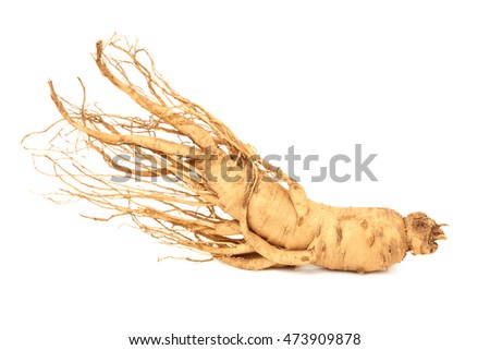 ginseng isolated on white background
