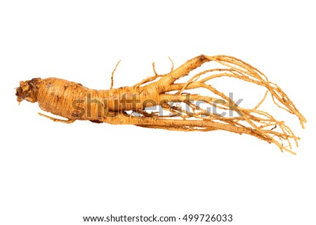 ginseng isolated on white background