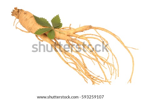 Ginseng