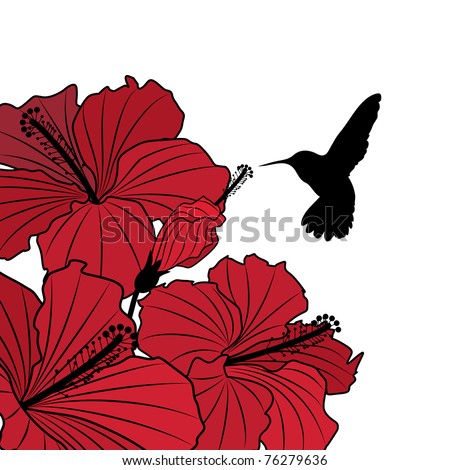 Hummingbird Silhouette Stock Images, Royalty-Free Images & Vectors