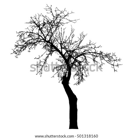 Wide Tree Silhouette On White Stock Vector 19519396 - Shutterstock