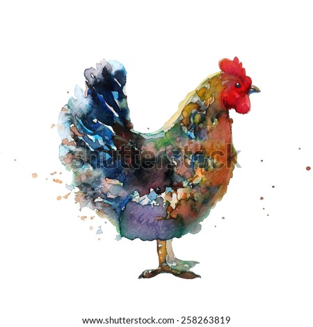 Download Watercolor Chicken Stock Vector 258263819 - Shutterstock