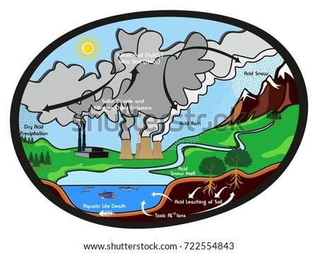 Acid Rain Infographic Diagram Showing Formation Stock Vector 722554843 ...