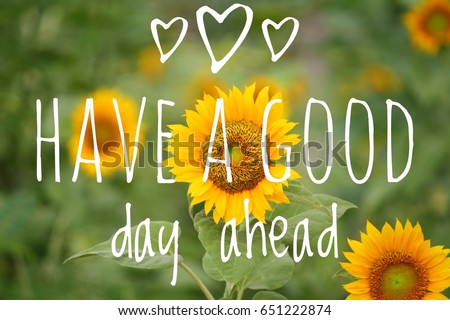 Have A Nice Day Stock Images, Royalty-Free Images 