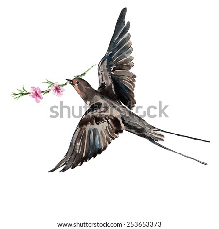 Bird swallow, blossoming peach, watercolor