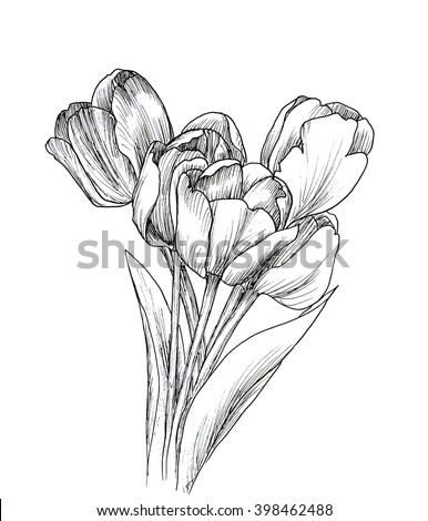 Line Ink Drawing Flower Butterfly Black Stock Illustration 341075366 ...