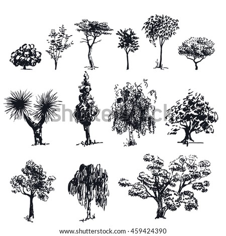 Set Vector Trees Leaves Stock Vector 157561199 - Shutterstock