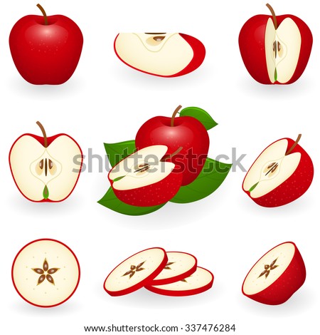 Vector illustration of red apple