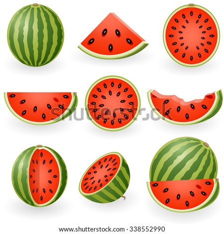 Vector illustration of watermelon