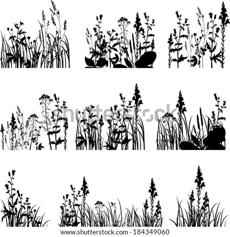 Set Different Landscapes Pine Trees Wild Stock Vector 283440326 ...