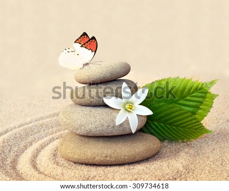 Stone balance , butterfly and flower