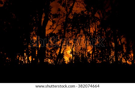 Burning forest nighttime фон стим