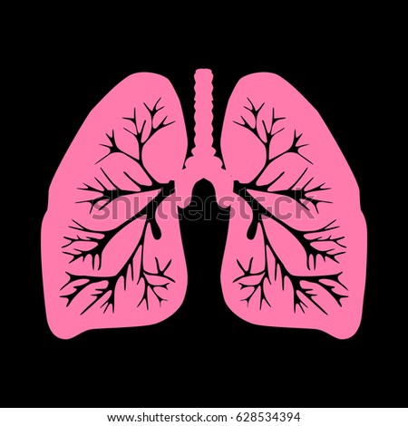 Human Lung Illustration Stock Vector 133850828 - Shutterstock