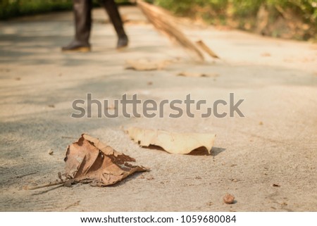 Sweeper cleaning worker sweeping the autumn leaves on the concrete sidewalk