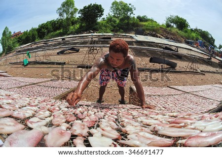 CHONBURI THAILAND-NOVEMBER 09 :A fisherman laying out his catch to dry in the sun on November 09, 2013 in Chonburi, Thailand