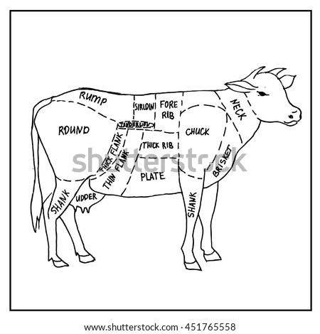 Beef Cut Cuts Beef Vector Stock Vector 131280110 - Shutterstock