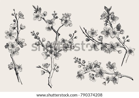 Vintage Images, Pictures, Photos - Vintage Photographs | Shutterstock