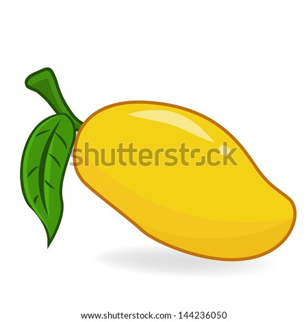 mango fruit and leaf isolated on white background - stock vector