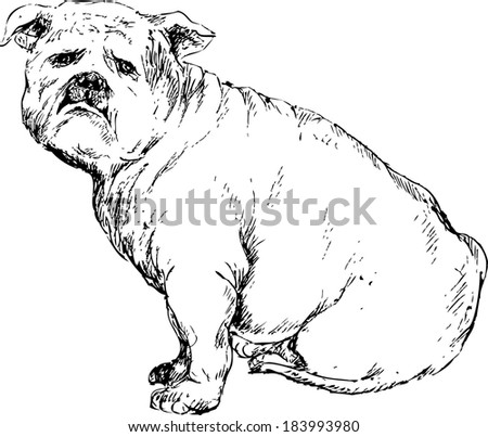 Stock Vector Illustration Anatomy Study Sketch Stock Vector 43556986