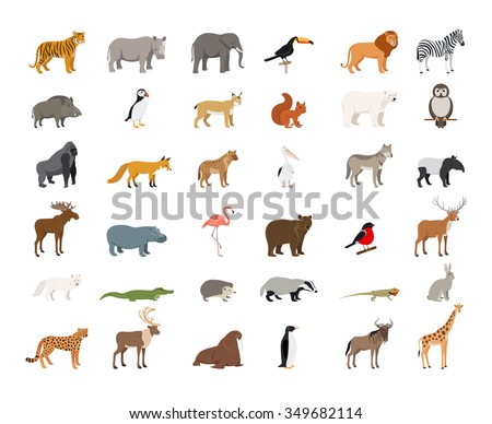 Dog Breeds Cocker Spaniel Collie Newfoundland Stock Vector 213389944 ...