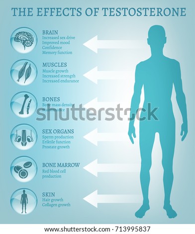 effect of sex on testosterone levels effect of sex on testosterone levels