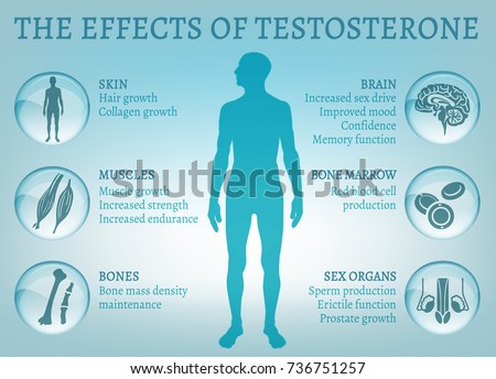 effects of sugarcane on sex hormone effects of sugarcane on sex hormone