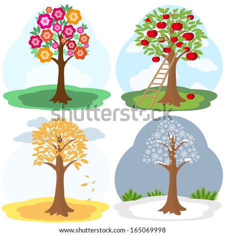 Apple Four Seasons Tree Stock Photos, Images, & Pictures | Shutterstock