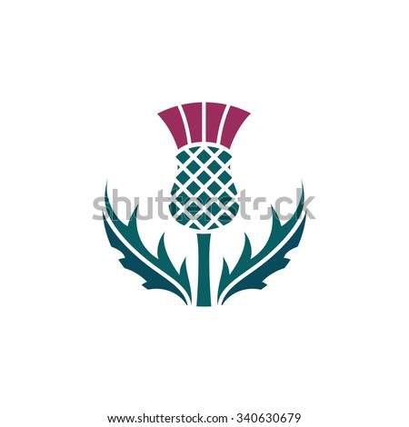 Thistle Floral Emblem Scotland App Symbol Stock Vector (Royalty Free ...