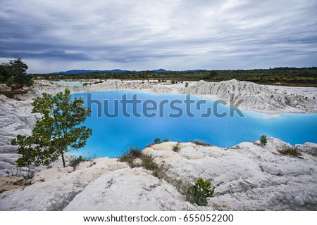 Exoticas Banco de imagens, imagens e vetores livres de direitos  Shutterstock