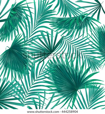 Tropical Palm Leaves Jungle Leaf Seamless Stock Vector 555750337 ...