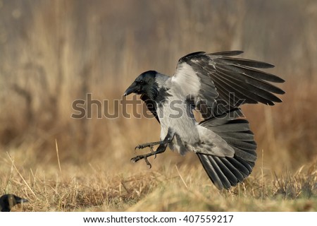 birds landing Looking for appraising and home inspection contractors in birds landing-california we help you find the best appraisers. birds landing Looking for appraising and home inspection contractors in birds landing-california we help you find the best appraisers.